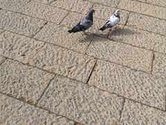 -迪庆藏族自治州博物馆