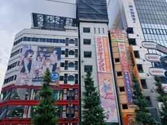-秋叶原电器街