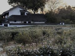 -灵顺寺