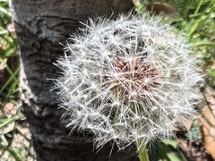 -上海植物园-4号门售票处