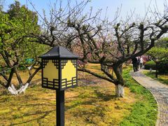 -白马涧龙池景区
