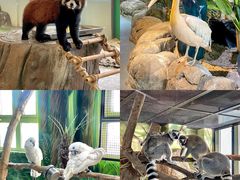 -海合安武汉极地海洋公园