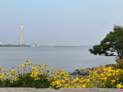 -上海吴淞炮台湾国家湿地公园