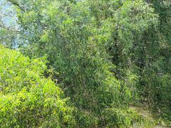 -潮喜竹溪荔湖酒家(荔枝湾店)