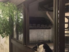 -猫的天空之城概念书店(杭州南宋御街店)