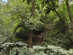 -岳麓山风景名胜区