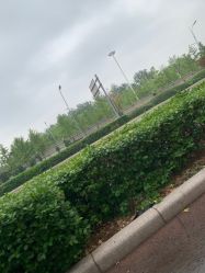 -HEYAN长风荷妍专业脱毛美肤
