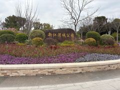 -新江湾城公园