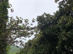 -八卦田遗址公园