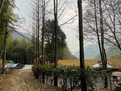 -众神白水涧景区