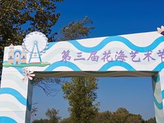 -莲花山花海
