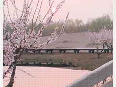 -东郊湿地公园