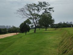 -盘龙城国家考古遗址公园