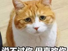 -冰城小镇音乐串吧·聚会餐厅(百子湾店)