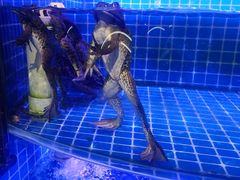 -亿牌牌东北烧烤(博物馆旗舰店)