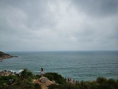 -广东惠东海龟国家级自然保护区