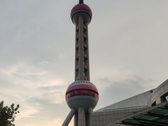 -上海海洋水族馆