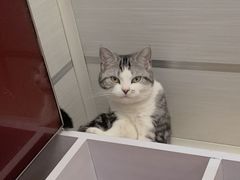 -东莞宠友24H宠物中心医院·转诊夜诊·异宠(新河北路院)