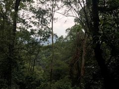 -火炉山森林公园