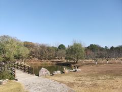 -天生桥景区