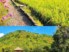 -沉浸北京·团建旅行·密室剧本杀·年会会议轰趴拓展