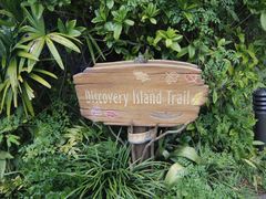 -奥兰多迪士尼动物王国乐园