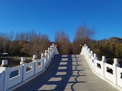 -长春市南湖公园