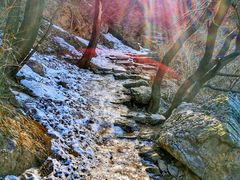 -阳台山自然风景区