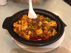 -陈麻婆豆腐总店
