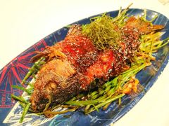 -西郊5号·Maggie 5