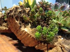 -在路上酒吧(大理古城店)