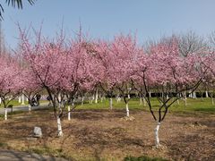 -白塘生态植物园