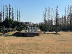 -上海长兴岛郊野公园