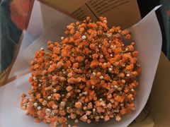 -循礼门鲜花花市(武汉循礼门店)