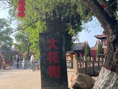 -大槐树寻根祭祖园
