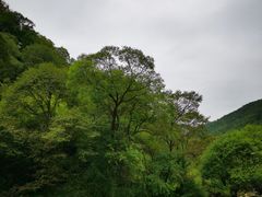 -大水川景区