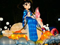 -映月湖公园