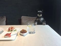 -梧桐餐厅(泉城路店)
