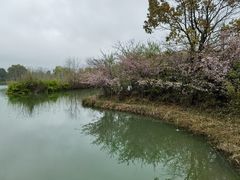 -苏州太湖国家湿地公园