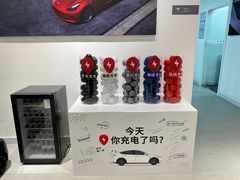 -TESLA 特斯拉(北京颐堤港体验店)