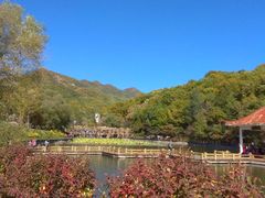 -吉林市朱雀山国家森林公园