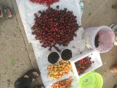 -宾朋海鲜特色美食餐厅·纯手工鲅鱼水饺(兴海路店)