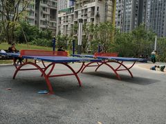 -碧桂园嘉誉