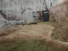 -武汉动物园