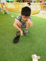 -萌宠亲子动物乐园(槐房万达店)