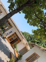 -DORA kids 朵拉儿童摄影花园店