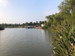 -九科绿洲