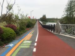 -上海长兴岛郊野公园