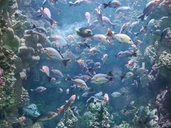 -海合安青岛极地海洋公园