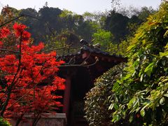 -西安华清御汤酒店